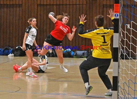 Heilbronn-Franken Handball Damen Bezirksliga TB Richen vs TSV Weinsberg (© Siegfried)