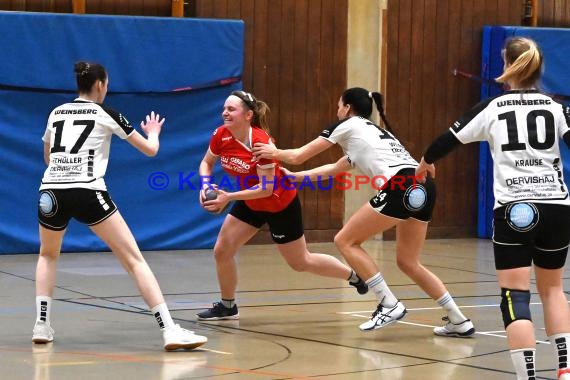 Heilbronn-Franken Handball Damen Bezirksliga TB Richen vs TSV Weinsberg (© Siegfried)