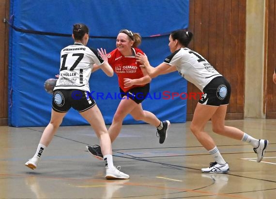 Heilbronn-Franken Handball Damen Bezirksliga TB Richen vs TSV Weinsberg (© Siegfried)