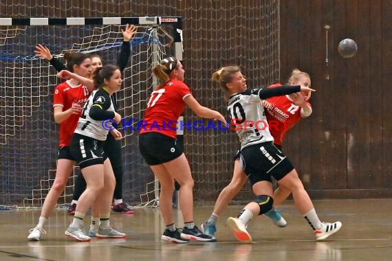 Heilbronn-Franken Handball Damen Bezirksliga TB Richen vs TSV Weinsberg (© Siegfried)