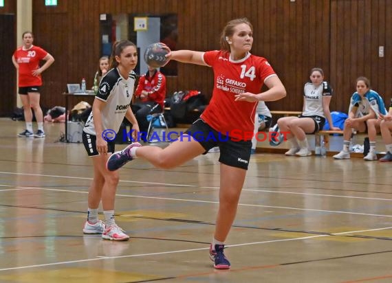 Heilbronn-Franken Handball Damen Bezirksliga TB Richen vs TSV Weinsberg (© Siegfried)