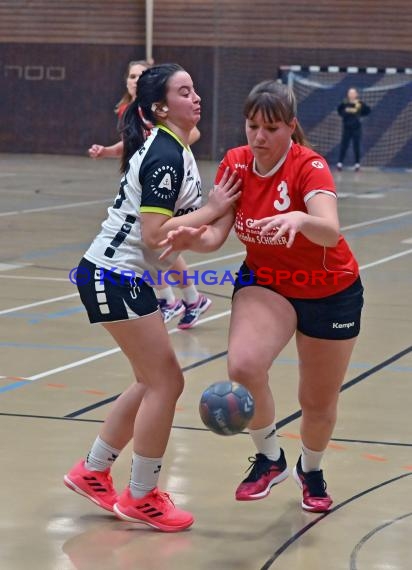 Heilbronn-Franken Handball Damen Bezirksliga TB Richen vs TSV Weinsberg (© Siegfried)