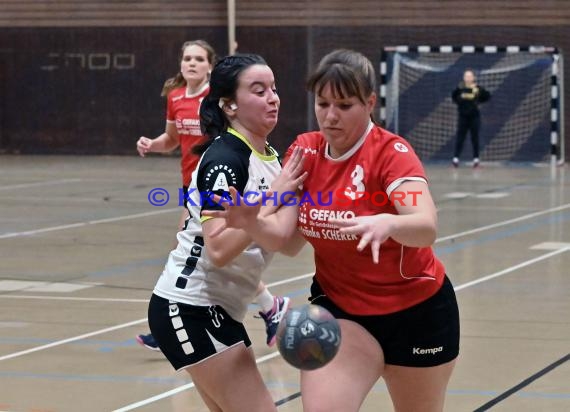 Heilbronn-Franken Handball Damen Bezirksliga TB Richen vs TSV Weinsberg (© Siegfried)