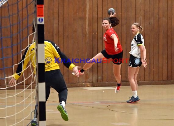 Heilbronn-Franken Handball Damen Bezirksliga TB Richen vs TSV Weinsberg (© Siegfried)