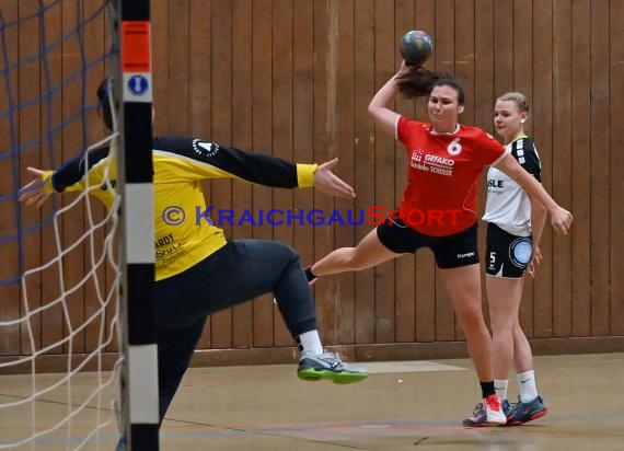 Heilbronn-Franken Handball Damen Bezirksliga TB Richen vs TSV Weinsberg (© Siegfried)