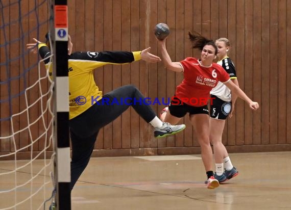 Heilbronn-Franken Handball Damen Bezirksliga TB Richen vs TSV Weinsberg (© Siegfried)