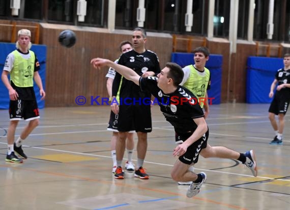 Handball Heilbronn Franken Herren Bezirksklasse TB Richen vs HSG Hohenlohe  (© Siegfried)