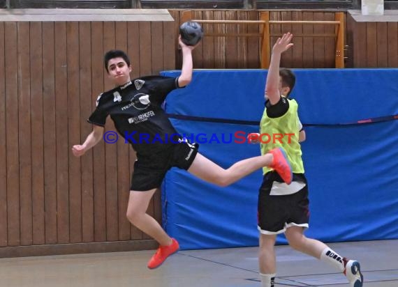 Handball Heilbronn Franken Herren Bezirksklasse TB Richen vs HSG Hohenlohe  (© Siegfried)