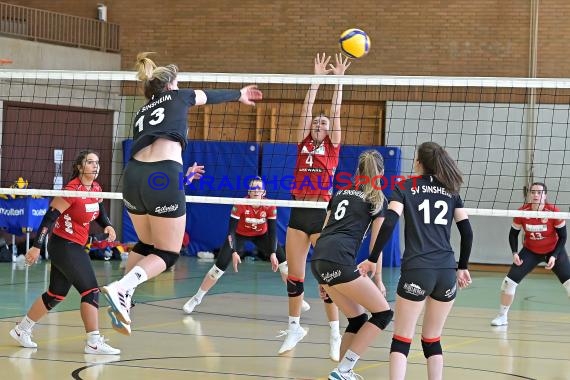 2022/23 Volleyball Damen 3. Liga Süd SV Sinsheim vs VC Offenburg Saison Opening (© Siegfried Lörz)