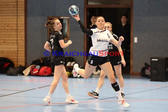 Handball Frauen Bezirksliga 1 TSV Steinsfurt vs TV Sinsheim (© Berthold Gebhard)