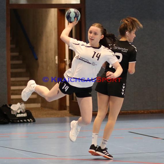 Handball Frauen Bezirksliga 1 TSV Steinsfurt vs TV Sinsheim (© Berthold Gebhard)