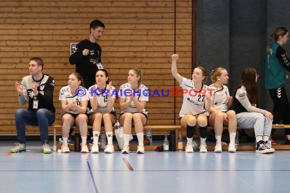 Handball Frauen Bezirksliga 1 TSV Steinsfurt vs TV Sinsheim (© Berthold Gebhard)