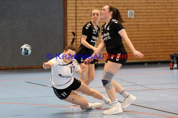 Handball Frauen Bezirksliga 1 TSV Steinsfurt vs TV Sinsheim (© Berthold Gebhard)