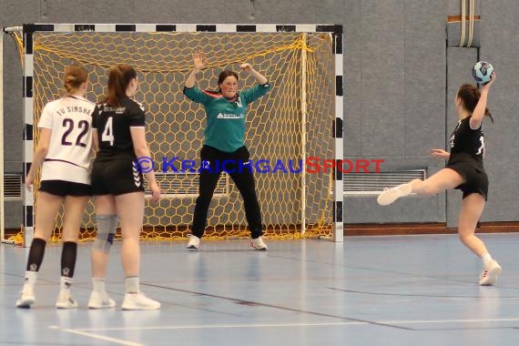 Handball Frauen Bezirksliga 1 TSV Steinsfurt vs TV Sinsheim (© Berthold Gebhard)