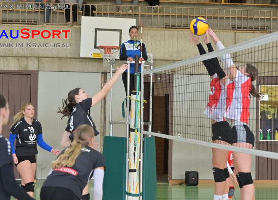 Volleyball-Damen-Verbandsliga-Nordbaden-Sinsheim-vs-TV-Bretten-2--Saison-2023/24 (© Siegfried Lörz)