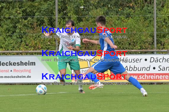 BW-Oberliga-FC-Zuzenhausen-vs-Calcio-Leinfelden-Echterdingen (© Siegfried Lörz)