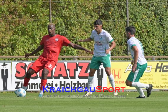 Oberliga-BW-FC-Zuzenhausen-vs-SSV-Reutlingen (© Siegfried Lörz)