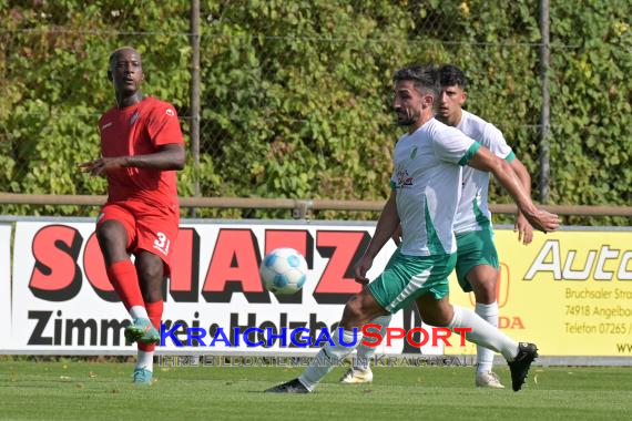 Oberliga-BW-FC-Zuzenhausen-vs-SSV-Reutlingen (© Siegfried Lörz)