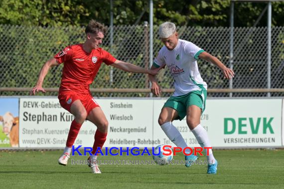 Oberliga-BW-FC-Zuzenhausen-vs-SSV-Reutlingen (© Siegfried Lörz)