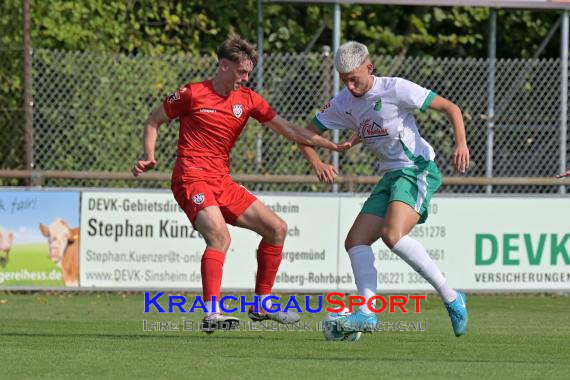 Oberliga-BW-FC-Zuzenhausen-vs-SSV-Reutlingen (© Siegfried Lörz)