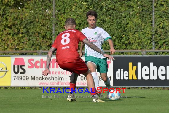 Oberliga-BW-FC-Zuzenhausen-vs-SSV-Reutlingen (© Siegfried Lörz)