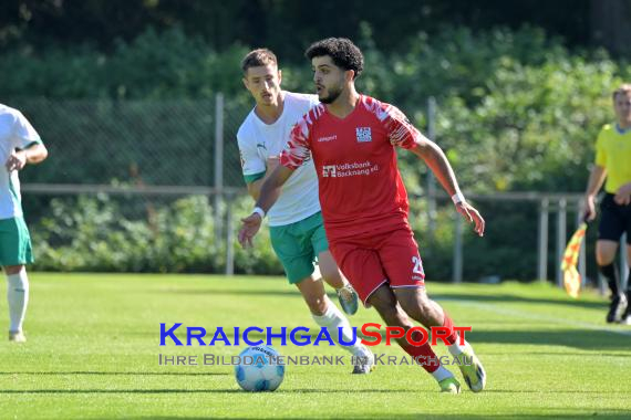 Oberliga-BW-FC-Zuzenhausen-vs-TSG-Backnang (© Siegfried Lörz)