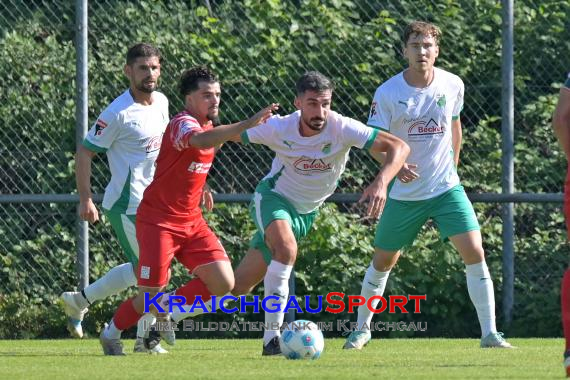 Oberliga-BW-FC-Zuzenhausen-vs-TSG-Backnang (© Siegfried Lörz)