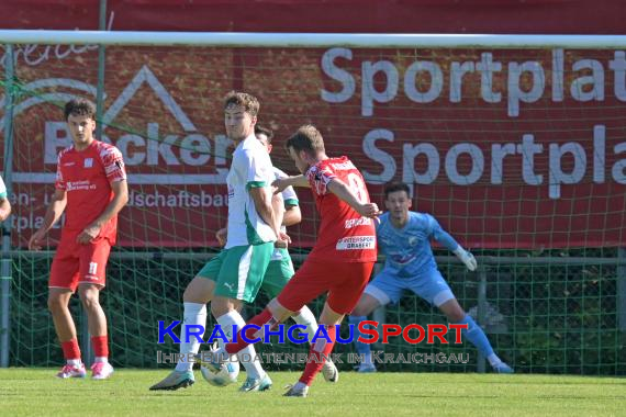 Oberliga-BW-FC-Zuzenhausen-vs-TSG-Backnang (© Siegfried Lörz)