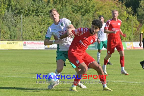 Oberliga-BW-FC-Zuzenhausen-vs-TSG-Backnang (© Siegfried Lörz)