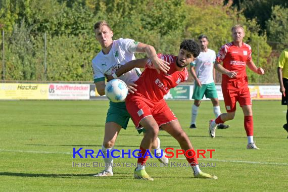 Oberliga-BW-FC-Zuzenhausen-vs-TSG-Backnang (© Siegfried Lörz)