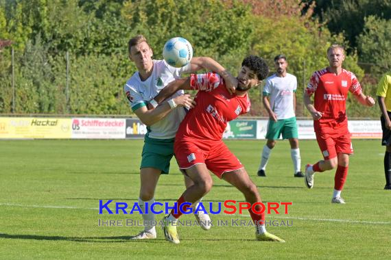 Oberliga-BW-FC-Zuzenhausen-vs-TSG-Backnang (© Siegfried Lörz)