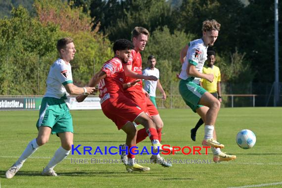 Oberliga-BW-FC-Zuzenhausen-vs-TSG-Backnang (© Siegfried Lörz)