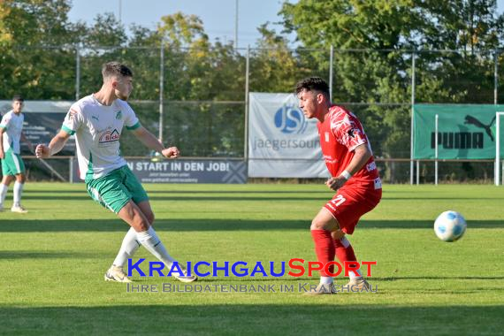 Oberliga-BW-FC-Zuzenhausen-vs-TSG-Backnang (© Siegfried Lörz)