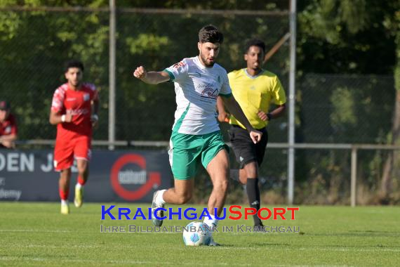 Oberliga-BW-FC-Zuzenhausen-vs-TSG-Backnang (© Siegfried Lörz)