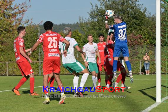 Oberliga-BW-FC-Zuzenhausen-vs-TSG-Backnang (© Siegfried Lörz)