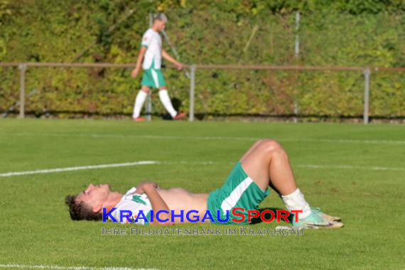 Oberliga-BW-FC-Zuzenhausen-vs-TSG-Backnang (© Siegfried Lörz)