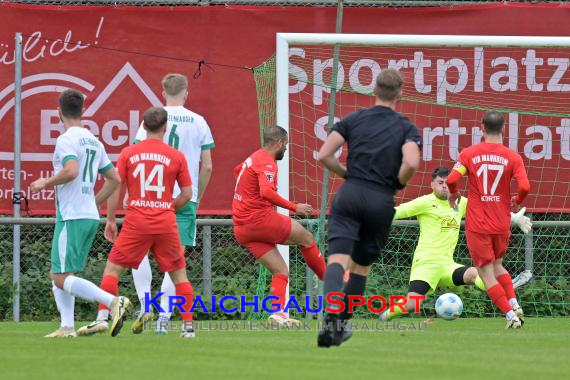 Oberliga-BW-FZ-Zuzenhausen-vs-VfR-Mannheim (© Siegfried Lörz)