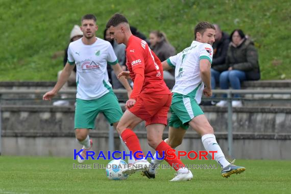 Oberliga-BW-FZ-Zuzenhausen-vs-VfR-Mannheim (© Siegfried Lörz)