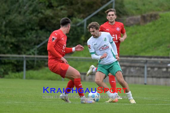 Oberliga-BW-FZ-Zuzenhausen-vs-VfR-Mannheim (© Siegfried Lörz)