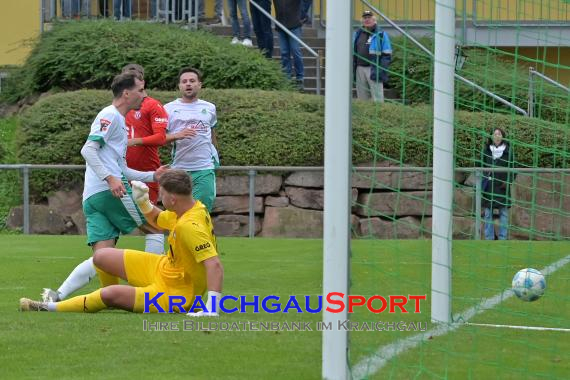 Oberliga-BW-FZ-Zuzenhausen-vs-VfR-Mannheim (© Siegfried Lörz)