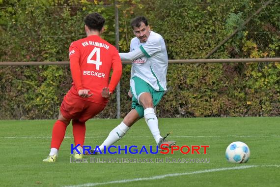 Oberliga-BW-FZ-Zuzenhausen-vs-VfR-Mannheim (© Siegfried Lörz)