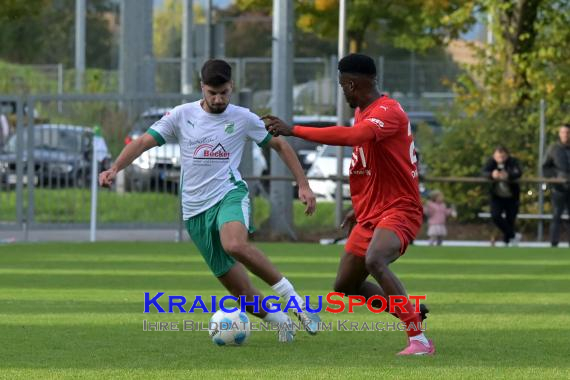 Oberliga-BW-FZ-Zuzenhausen-vs-VfR-Mannheim (© Siegfried Lörz)