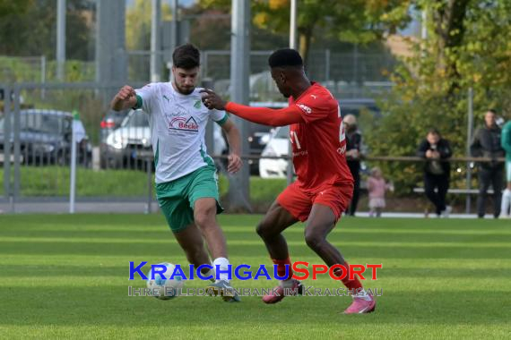 Oberliga-BW-FZ-Zuzenhausen-vs-VfR-Mannheim (© Siegfried Lörz)