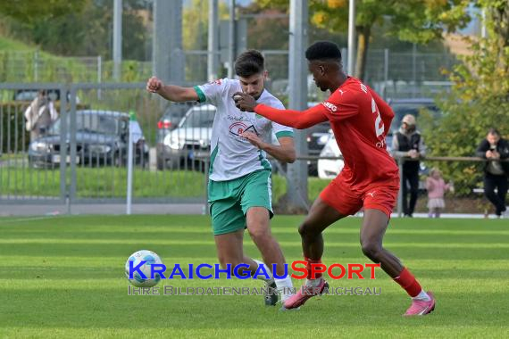 Oberliga-BW-FZ-Zuzenhausen-vs-VfR-Mannheim (© Siegfried Lörz)