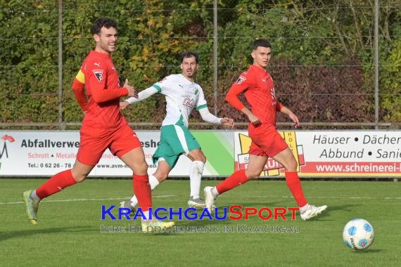 Oberliga-BW-FZ-Zuzenhausen-vs-VfR-Mannheim (© Siegfried Lörz)