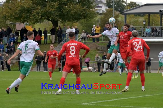 Oberliga-BW-FZ-Zuzenhausen-vs-VfR-Mannheim (© Siegfried Lörz)