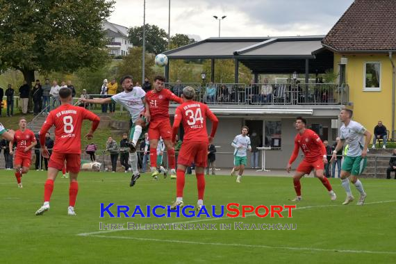 Oberliga-BW-FZ-Zuzenhausen-vs-VfR-Mannheim (© Siegfried Lörz)