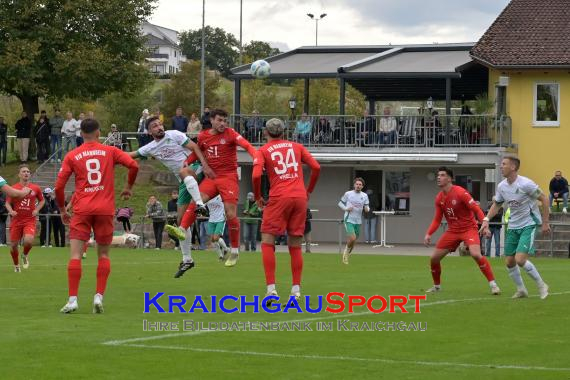 Oberliga-BW-FZ-Zuzenhausen-vs-VfR-Mannheim (© Siegfried Lörz)