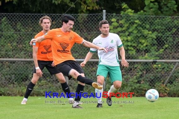 Oberliga-BW-FC-Zuzenhausen-vs-1.CFR-Pforzheim (© Siegfried Lörz)