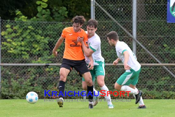 Oberliga-BW-FC-Zuzenhausen-vs-1.CFR-Pforzheim (© Siegfried Lörz)